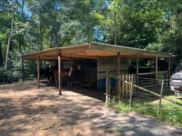 Mooie paardenstal ( zelf af te breken ), Mise à l'étable, 2 ou 3 chevaux ou poneys