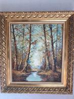 Zer mooie schilderij  mooie grote kader, Ophalen