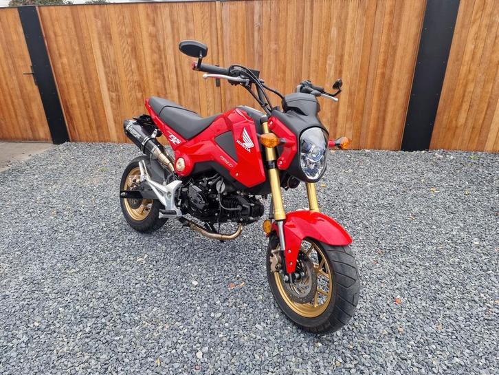Honda msx 125cc grom Akrapovic nieuwstaat, Motoren, Motoren | Honda, Bedrijf, Naked bike, 11 kW of minder, 1 cilinder, LED Verlichting