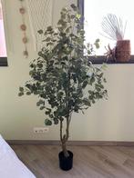 Kunstplant eucalyptus groen, Huis en Inrichting, Woonaccessoires | Kunstplanten en Kunstbloemen, Ophalen, Nieuw, Binnen