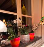 Man medisch beroep zoek deftige vrouw ️