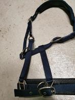 Kaptoom halster showmaster, Dieren en Toebehoren, Ophalen, Nieuw, Overige soorten