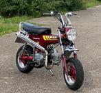 Skyteam dax 125cc, Fietsen en Brommers, Skyteam 125cc, Ophalen of Verzenden, Zo goed als nieuw, 124 cc