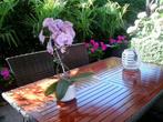 Tuintafel, Tuin en Terras, Tuintafels, Ophalen, Zo goed als nieuw, Rechthoekig, Hout