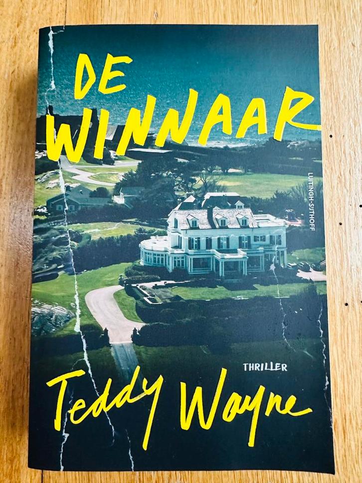 Nieuw! Teddy Wayne - De winnaar, Boeken, Thrillers, Nieuw, Verzenden