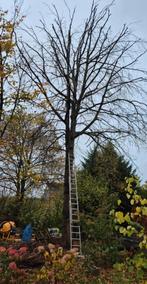 Jardinier  ⚠️PROMOTION ⚠️  EN JANVIER ET FÉVRIER, Enlèvement ou Envoi