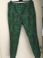 Pantalons pour femmes de la marque Expresso vert à motif de, Vert, Taille 38/40 (M), Enlèvement