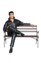 Chanteur de rock & roll sur un banc - Elvis Presley - grande