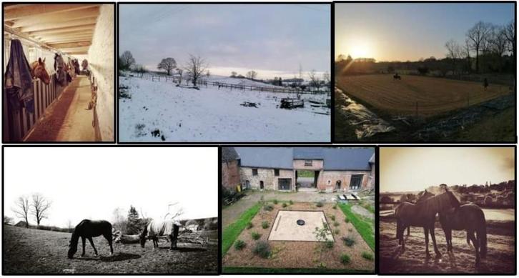Box paarden DSL IX, Dieren en Toebehoren, Stalling en Weidegang, Stalling, 2 of 3 paarden of pony's
