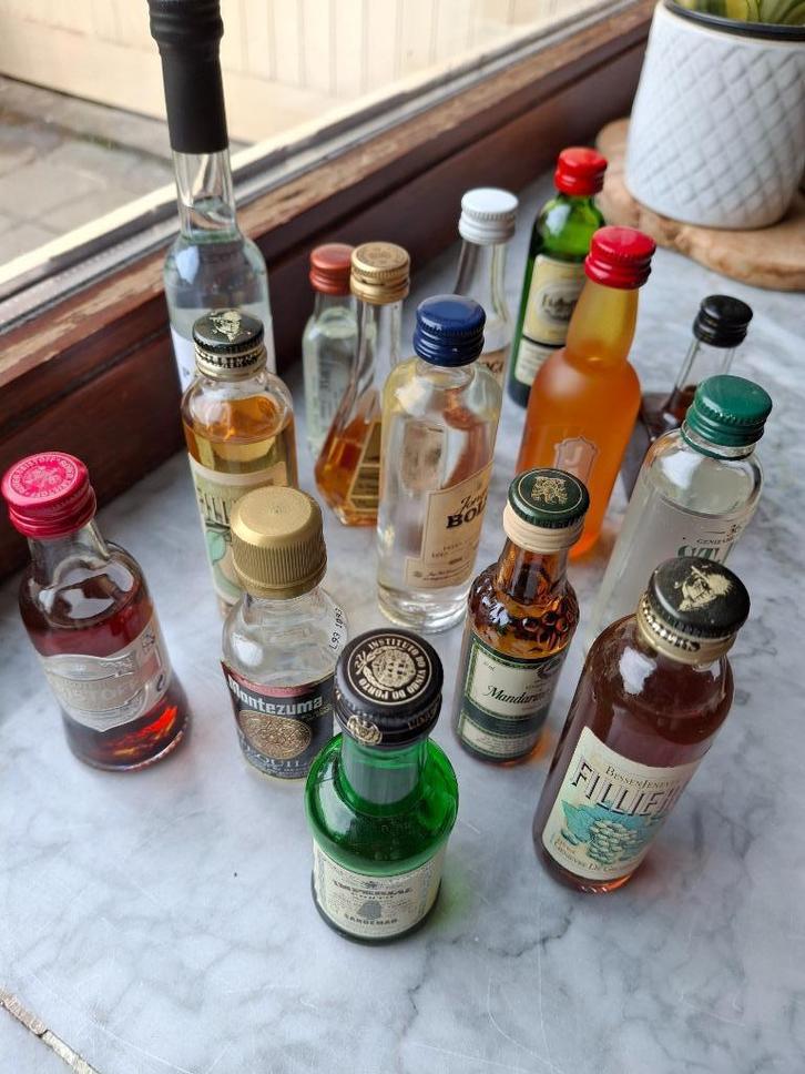 Miniatuurflesjes vol Mini 15 stuks, Collections, Collections complètes & Collections, Enlèvement ou Envoi