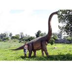 Braciosaurus – Dinosaurus beeld Lengte 547 cm, Nieuw, Ophalen