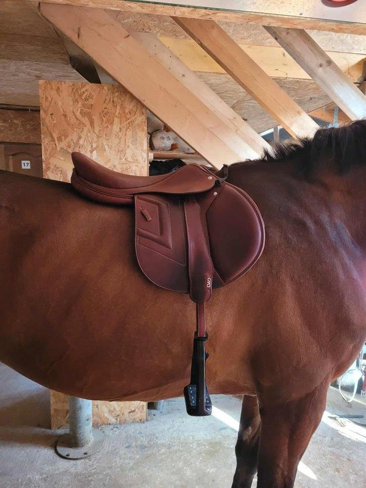 Renaissance-zadel in zeer goede staat, Dieren en Toebehoren, Paarden en Pony's | Zadels, Gebruikt, Springen, Ophalen