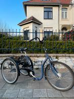Eco elektrische driewieler - Trike blauwe kleur nieuwstaat, Fietsen en Brommers, Fietsen | Driewielfietsen, Zo goed als nieuw