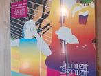 12inch Junior Senior, Ophalen of Verzenden, Gebruikt, 12 inch, Dance Populair