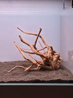 Red Moor wood - Spiderwood for aquascapes, Ophalen of Verzenden, Nieuw, Plant(en), Steen of Hout