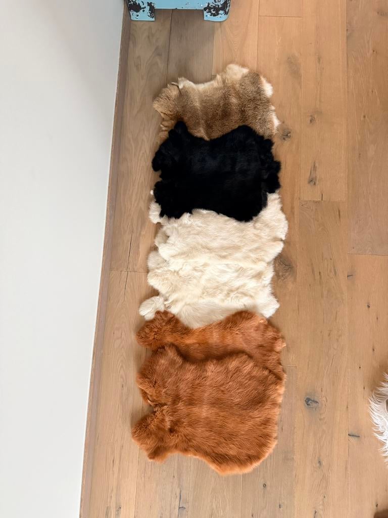 Set van 7 echte konijnenvellen – diverse kleuren, Enlèvement, Comme neuf