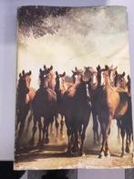 Artis Historia - Onze paarden, Ophalen of Verzenden, Zo goed als nieuw