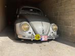 VW ovaalkever 1955, 1192 cc, Volkswagen, Handgeschakeld, Particulier