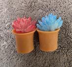 Poppenhuis accessoires potplantjes, Ophalen of Verzenden, Nieuw, Poppenhuis