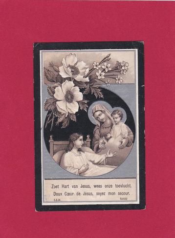 DP Petrus Jacobus Van Der Meulen beschikbaar voor biedingen