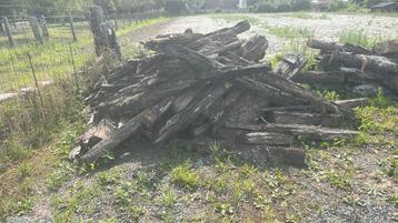 Gratis brandhout beschikbaar voor biedingen