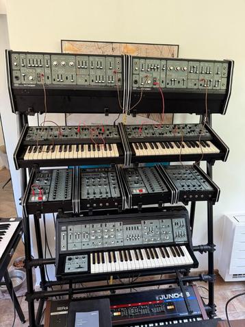 Roland System 101 analoge setup, Musique & Instruments, Synthétiseurs, Enlèvement ou Envoi, Comme neuf, 49 touches, Roland