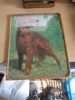 vintage kader metaal goudkleur met foto hond, Antiek en Kunst, Ophalen of Verzenden