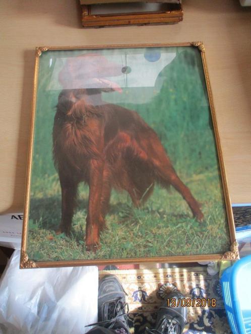 vintage kader metaal goudkleur met foto hond, Antiek en Kunst, Curiosa en Brocante, Ophalen of Verzenden