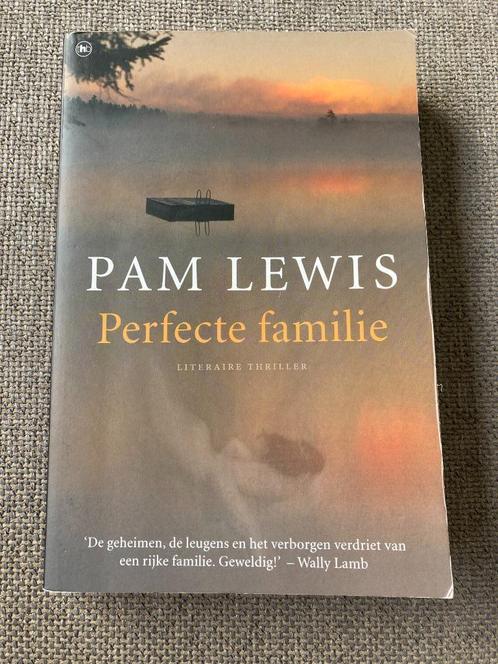 Perfecte familie - Pam Lewis, Livres, Thrillers, Utilisé, Enlèvement ou Envoi