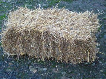Kleine balen stro 2024 te koop, Dieren en Toebehoren, Ophalen, Overige soorten