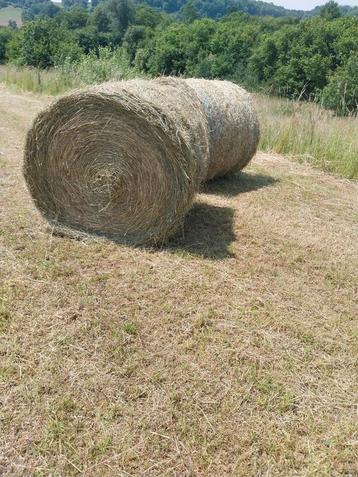 Balle ronde de foin  beschikbaar voor biedingen