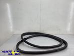 Deurrubber RV Volvo XC60 I ('08->) 31424324, Gebruikt, Ophalen of Verzenden, Volvo, Volvo