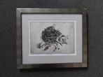 Ets met Aquatint " 't lege nest" nummer 3/12 , ingelijst, Verzenden