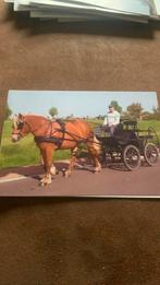 Met paard, Enlèvement ou Envoi, Image pieuse