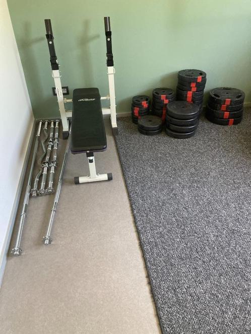 fitnessmateriaal, Sport en Fitness, Fitnessmaterialen, Gebruikt, Halterschijven, Armen, Benen, Borst, Buik, Rug, Ophalen