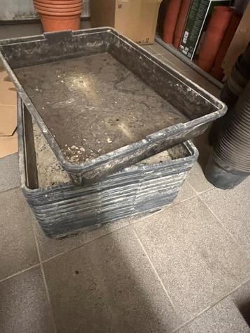 Grote zaaibak stevige plastiek 56,5 x 42 cm beschikbaar voor biedingen