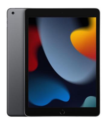 Apple iPad 10.2 inch (versie 2021 - 9e gen) - WIFI - 256 GB, Computers en Software, Apple iPads, Ophalen, Zo goed als nieuw, Apple iPad