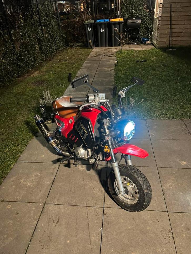 Mini trottinette avec plaque d'immatriculation !, Vélos & Vélomoteurs, Cyclomoteurs | Tomos, Comme neuf, Enlèvement