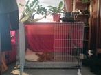 Cage grand chien, Animaux & Accessoires, Comme neuf, Enlèvement ou Envoi