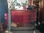 Cage grand chien, Animaux & Accessoires, Maisons pour chiens, Comme neuf, Enlèvement ou Envoi