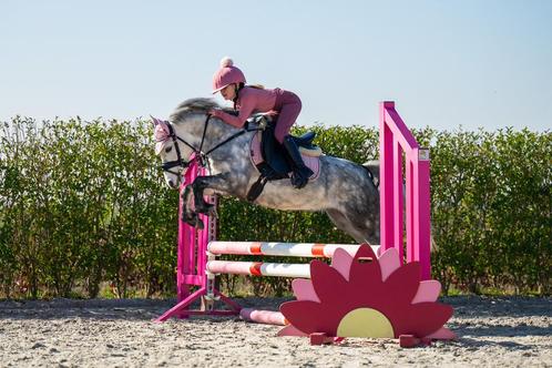 Super toffe talentvolle welsh pony, Dieren en Toebehoren, Pony's, Merrie, B, A pony (tot 1.17m), Springpony, 3 tot 6 jaar, Met stamboom