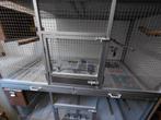 Broed/kweek/vogel/uitvlieg/parkieten/papegaaien-kooien., Enlèvement, Comme neuf, Aluminium