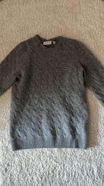 Lacoste trui, Kleding | Heren, Maat 48/50 (M), Lacoste, Ophalen of Verzenden, Zo goed als nieuw