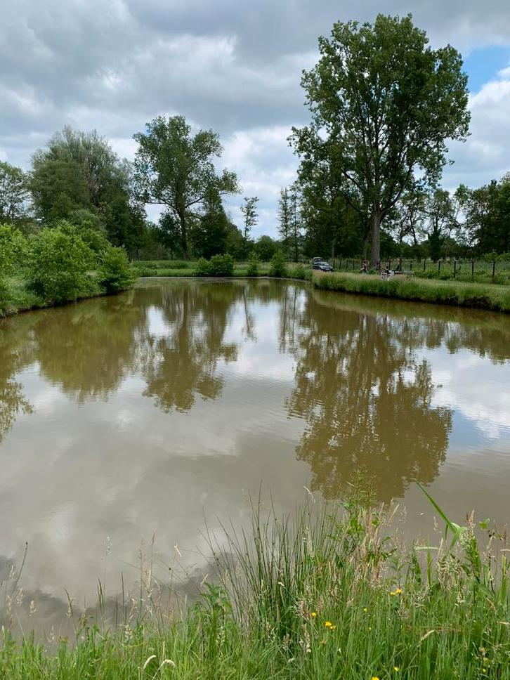 Vijver te koop, Immo, Buitenverblijven te koop, Provincie Antwerpen, Overige soorten