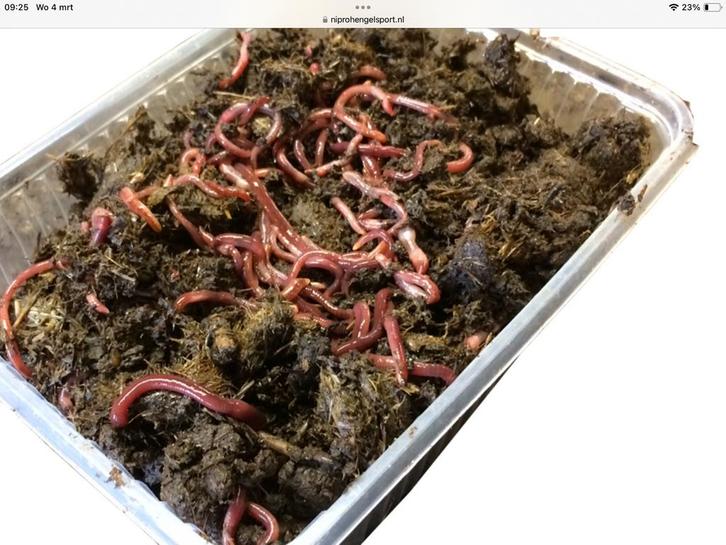 Paardenmest pieren gezocht ( regio Limburg), Tuin en Terras, Aarde en Mest, Mest, Ophalen