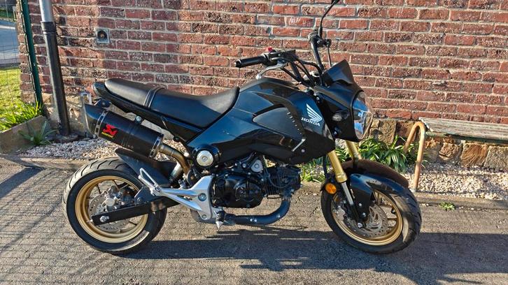 Honda MSX, Motoren, Motoren | Honda, Naked bike, Ophalen