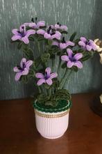 Pijpenragers bloem, Hobby en Vrije tijd, Knutselen, Verzenden, Nieuw