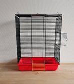 Hamsterkooi of vogelkooi, Kooi, Muis, Ophalen, Minder dan 60 cm