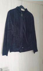 Fluweel vestje maat 40, Kleding | Dames, Ophalen of Verzenden, Zo goed als nieuw, Maat 38/40 (M)