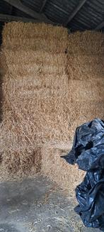 TARWE STRO 2025, Enlèvement